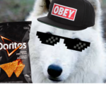 Arctic MLG