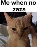 kitty_enjoyer