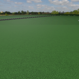 car driving sim