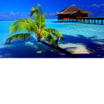 Sea cafè ♡