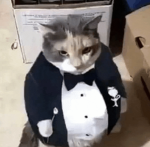 Nova Fits clothing