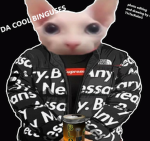 DA COOL BINGUSES