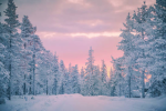 SNOWBOUND HEARTS.