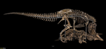 ~The Dino's~