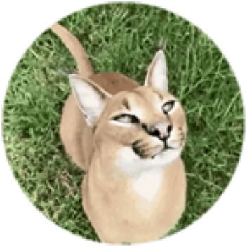 Game pass bear alpha 