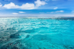 The vast ocean