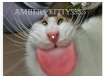 Ambers kittyssss