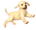 Nintendog