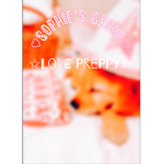 Sophie’preppy group