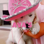 ୨୧ Ava's Fairies ୨୧