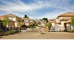 Gated Estates Shootas