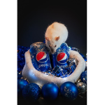 Rats flying over Pepsis