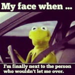 Kermit MEME will rule