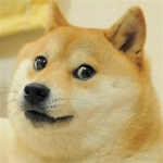 Doge .Army