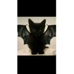 Lilmamasgirrafes!