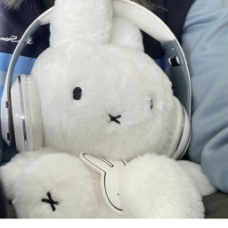 ୨⋆୧