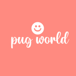 pig world!!!