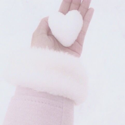 ✼:♡*ﾟ