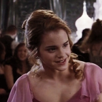 -*Harry Potter Fans*-