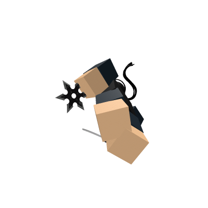 A ninja