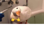 O.o o.O