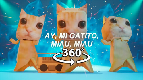 Meet Ay Mi Gatito