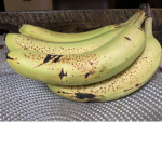 The group of bananas best