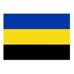Nimwegen creators