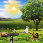 * Garden Academy *