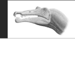 Spinos Group