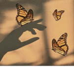 Butterfly Cousins or Butterfly Nuggets