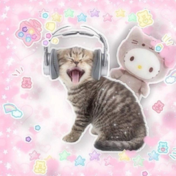 🐾⸝⸝📌★🎀⚠ ピンク⚰️✰