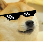 Doge Group hangout place