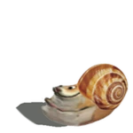Snailik