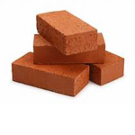 Bricks Fan Club