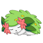 Shaymin Studio's