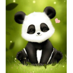 .Fancy Pandas.