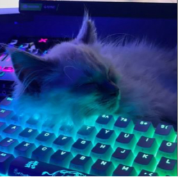 mew