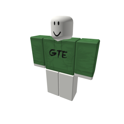 GTE Hoodie