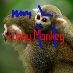 Funny Monkey DEMON SLAYER UPDATE