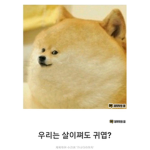 용화yt구독자,편집자,매니저그룹 거래도 함