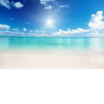 Command's Beach Life Game