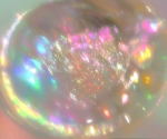 sparklycollar