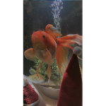 RubyLovesYou<3