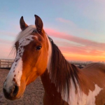~ < SPRING EQ ACCADEMY > ~