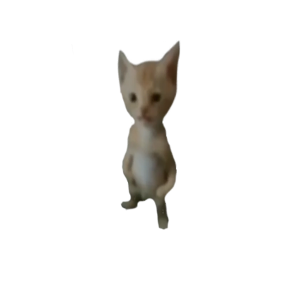 Michael Cat