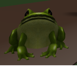 Frog obby