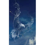 Water Eagle