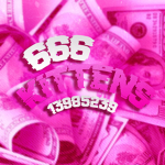 ୨୧ 666Kittens ୨୧
