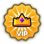 V.I.P